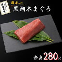 最優秀賞受賞 黒潮本まぐろ 赤身 280g 高知 土佐 大月町 冷凍 養殖 本鮪 黒鮪 マグロ 丼 刺身 寿司 ギフト プレゼント 化粧箱 自宅用 お中元 御中...