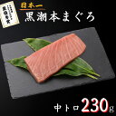 最優秀賞受賞 黒潮本まぐろ 中トロ 230g 高知 土佐 大月町 冷凍 養殖 本鮪 黒鮪 マグロ 丼 刺身 寿司 ギフト プレゼント 化粧箱 自宅用 お中元 御...