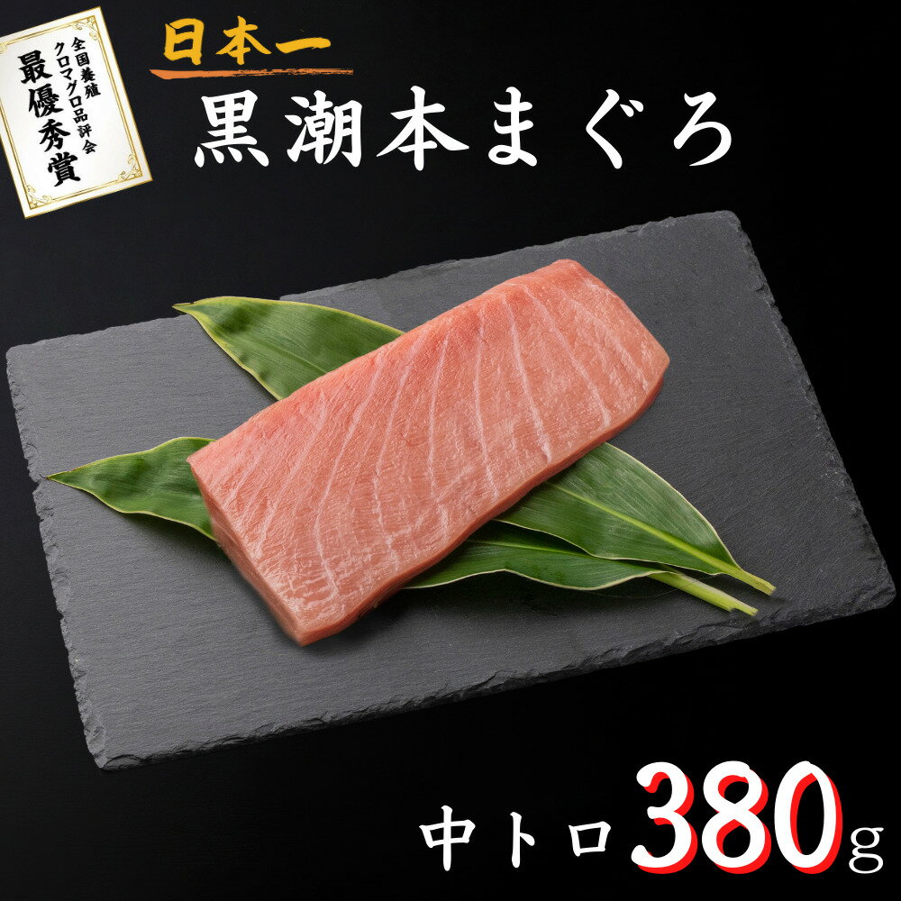 最優秀賞受賞 黒潮本まぐろ 中トロ 380g 大容量 高知 土佐 大月町 冷凍 養殖 本鮪 黒鮪 マグロ 丼 刺身 寿司 ギフト プレゼント 化粧箱 自宅用 お中元 御中元 お歳暮 御歳暮 母の日 父の日 敬老の日 おつまみ