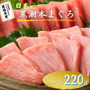 最優秀賞受賞 黒潮本まぐろ 中トロ・大トロ 各220g セット 高知 土佐 大月町 冷凍 養殖 本鮪 黒鮪 マグロ 丼 刺身 寿司 ギフト プレゼント 化粧箱 ...