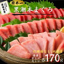 【化粧箱なし割引】最優秀賞受賞 黒潮本まぐろ 赤身・中トロ・大トロ 各170g セット 高知 土佐 大月町 冷凍 養殖 本鮪 黒鮪 マグロ 丼 刺身 寿司 ギフ...