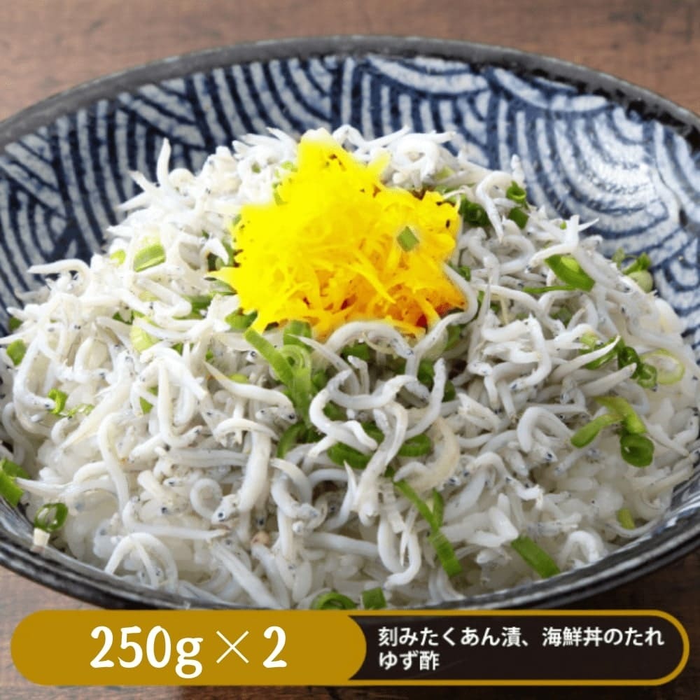 龍馬しらす 250g×2パック 500g 刻みたくあん 海鮮丼のタレ 釜揚げしらす 高知 土佐 国産 高知産 冷凍 ギフト プレゼント 化粧箱 自宅用 お中元 お歳暮 母の日 父の日 敬老の日 子供 赤ちゃん うすしお 天日干し しらす丼 丼ぶり おつまみ