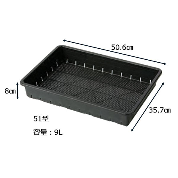 �ڥ��������������� �������� ����Ȣ �����Ѱ���Ȣ��51����