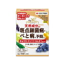 【住友化学園芸】殺菌剤 サンボルドー水和剤【2g×10袋】