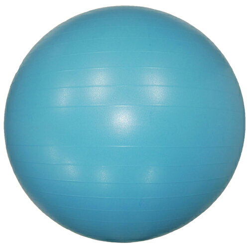 【ナチュラニ】ヨガボール バランス感覚を鍛えるボディーボール【NR-2235 65cm ブルー】