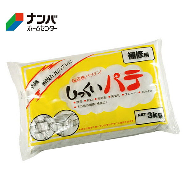 【家庭化学】補修材 セメントしっくいパテ 3kg ホワイト