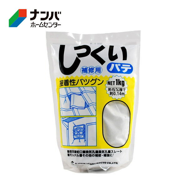 【家庭化学】補修材 セメントしっくいパテ 1kg ホワイト