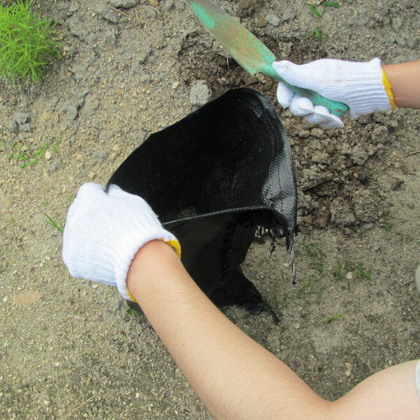 �ڥϥ��ϥ� �븶���ȡ��ڤΤ��� ��ǹ�� �ڥ����ڤΤ� 5���ȡ�30��45cm �֥�å���