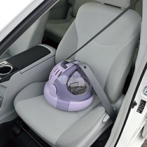 �ڥ�å�����ۥ���꡼ ������ ���Ǥ����ͥ��٥åɡ�S �ѡ��ץ��