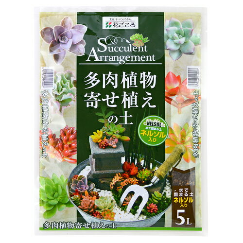 【仕様】 ●250×340×50mm ●水で固まる土ネルソル（0．25L）入り 日本製 【商品特長】 ●付属のネルソルを使えば、より立体的なアレンジも可能になります。 【使用上の注意】 ●使用上の注意をよくお読みになりご使用下さい。