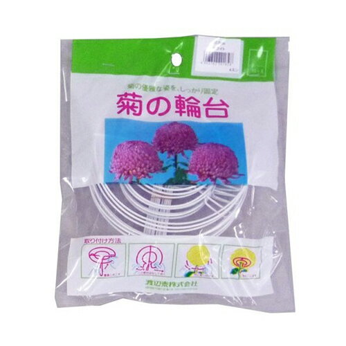 【渡辺泰】輪台 菊の輪台【12cm 10個 ホワイト】