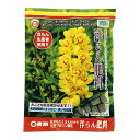 【東商】肥料 洋らん肥料【1kg】