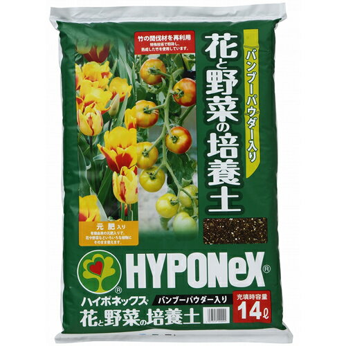 小豆の栽培は難しい 支柱 摘心のコツや収穫時期などを詳しく解説 Botanica