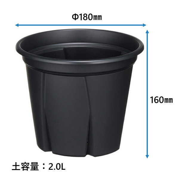 【アップルウェアー】鉢 プラ鉢 根っこつよし【6号 ブラック】