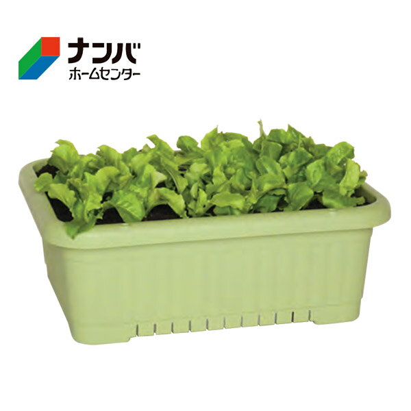 【K】【アイカ】鉢 プラ鉢 プランター 菜園プランター500浅型 グリーン【500号型】