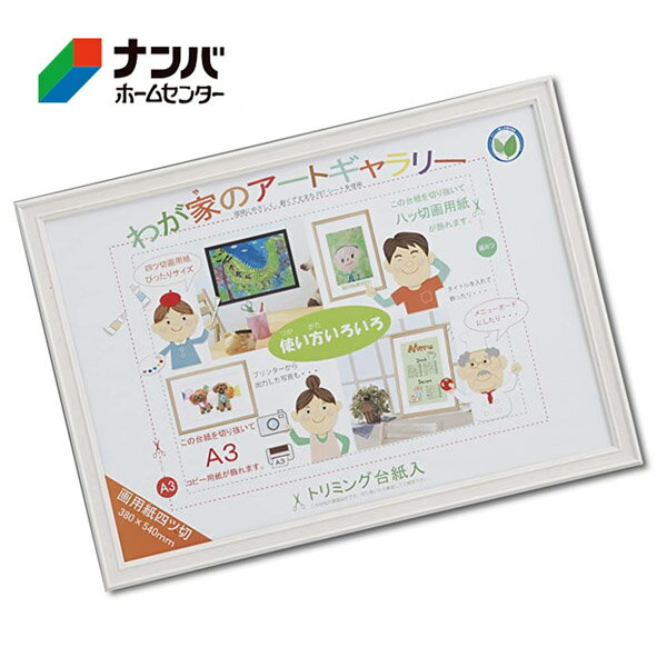 【K】【大仙】額 みんなの画用紙額 四ツ切【D48104401 ホワイト1個】（楽天・ナンバ　楽天市場店）