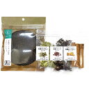 オーガニック チャイ スパイスセッ