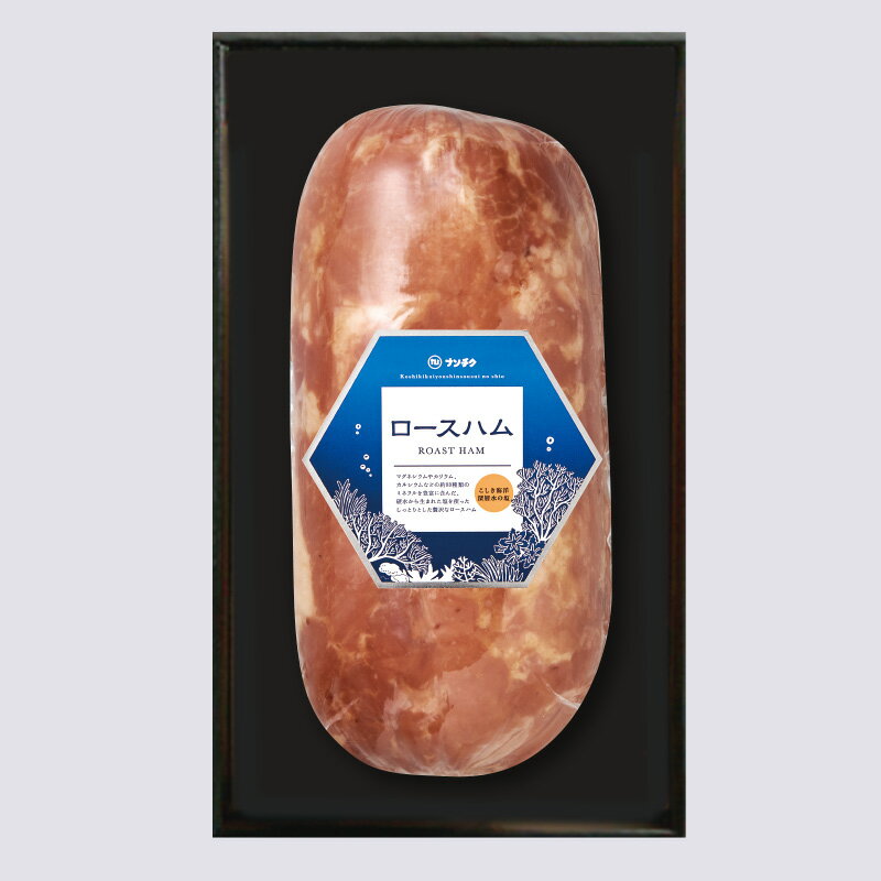 【ナンチク】【国産】【送料無料】N-11 ロースハム こしき海洋深層水の塩 お歳暮 鹿児島