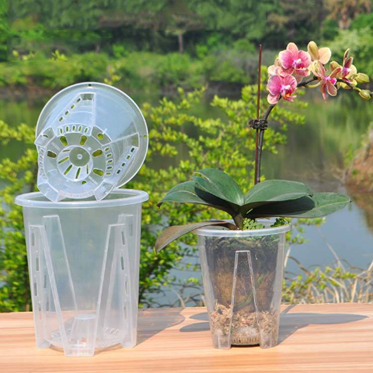 洋蘭鉢 穴付き 穴付き オー 植木鉢 プランター 10鉢セット プラスチック 透明 胡蝶...