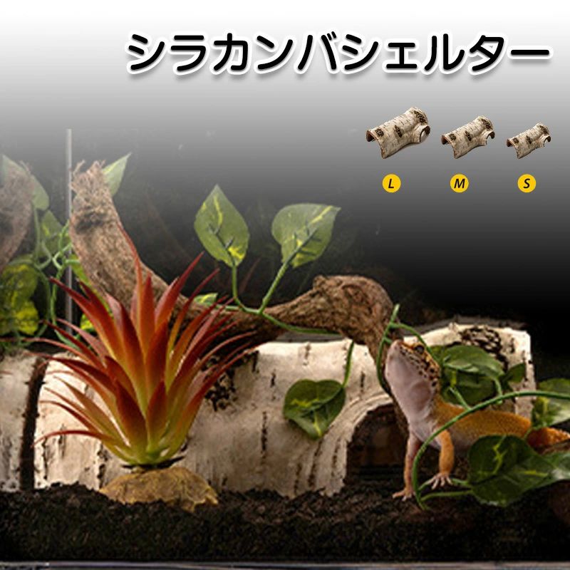 トカゲ シェルター 昆虫 棲家 白樺シェルター 守宮 両生類 隠れ家 景観造り 魚 ストレ バスキングスポット 白樺 虫 亀 爬虫類