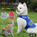 通気 内側メッシュ 表地柔らかスエード L M S XS 全4色 小型犬 ペット用品 2点セット リード ハーネス 小型犬用 ハーネス 犬用