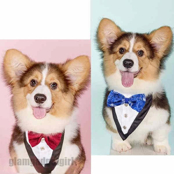 チョーカー おしゃれ 中型犬 三角巾 アクセサリー 小型犬 猫 レース 小型犬 おめかし 新生活応援 フリ..