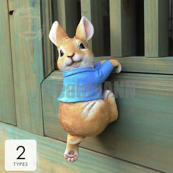   ǥ󻨲   ֥ ʥ ʪ ǥ ǥ˥ ƥꥢ ǥ˥󥰻 