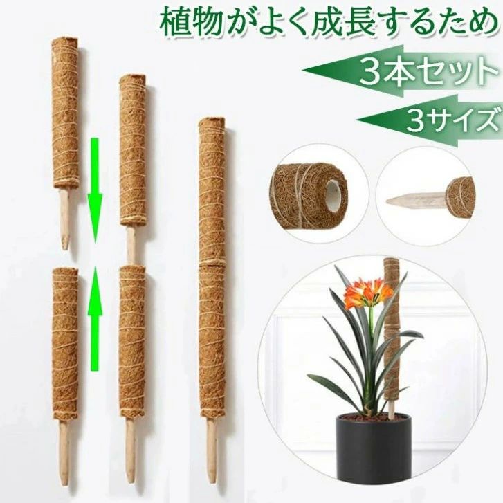 ポトス ココスティック 蔓 園芸支柱 木 花ささえ 3本セット 連結 おしゃれ ガーデン ココナッツ 延長 ..
