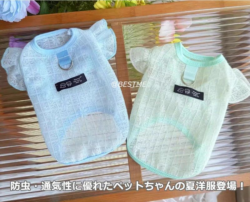   ڥå ̵ ɥå  ȴк ̵ ä䤫 ѥ Dդ 淿 ǭ  ղ T