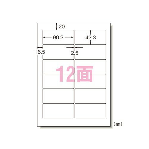 エーワン 28171 パソコンプリンタ＆ワープロラベルシール A4 12面 20シート 送料無料