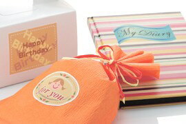 ������� 28422 ��٥륷���� A4 1�� 100������ ����̵��