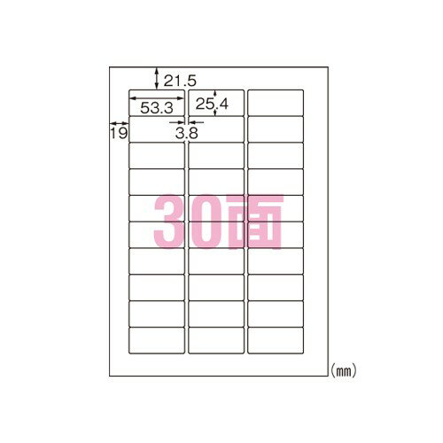 Rakuten - エーワン 28973 ラベルシール 光沢フィルム透明 A4 30面10シート 送料無料