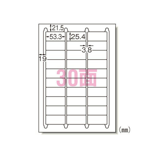 Rakuten - エーワン 29191 ラベルシール A4 30面 20シート 送料無料