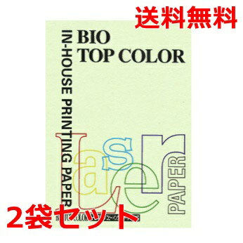 Rakuten - 伊東屋 バイオトップカラー 80g A4 BT105 グリーン 100枚×2 モンディ