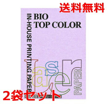 伊東屋 バイオトップカラー 80g A4 BT110 ラベンダー 100枚 2 モンディ