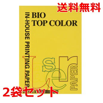 伊東屋 バイオトップカラー 80g A4 BT116 サンイエロー 100枚×2 モンディ