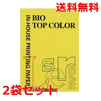 伊東屋 バイオトップカラー 80g A4 BT129 マスタード 100枚×2 モンディ