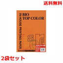 伊東屋 バイオトップカラー 120g A4 BT333 オレンジ 50枚×2 モンディ(2)