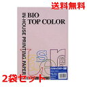 伊東屋 バイオトップカラー 160g A4 BT431 フラミンゴ 50枚×2 モンディ(2)