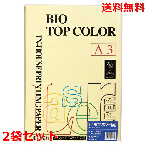 Rakuten - 伊東屋 バイオトップカラー 160g A3 BT453 イエロー 50枚×2 モンディ