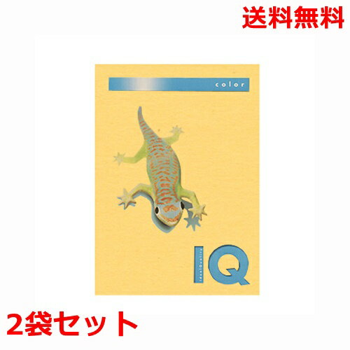 Rakuten - 伊東屋 バイオトップカラー 80g A4 BT502 ゴールド 500枚×2 モンディ
