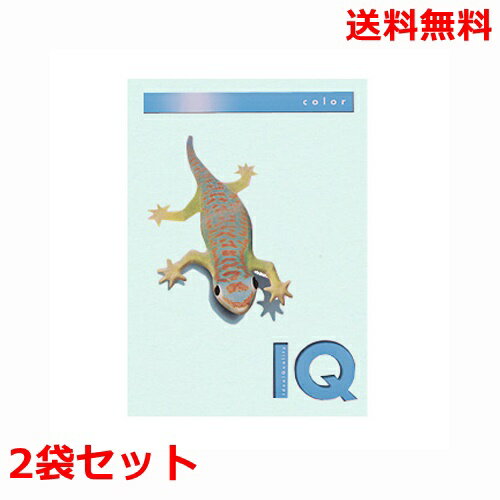 Rakuten - 伊東屋 バイオトップカラー 80g A4 BT507 ブルー 500枚×2 モンディ
