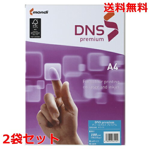 伊東屋 DNSプレミアム A4 100g DNS101 100枚×2 モンディ