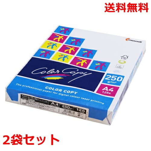 樂天商城 - 伊東屋 ハイパーレーザーコピー 250g A4 HP5051 ホワイト 125枚×2 モンディ
