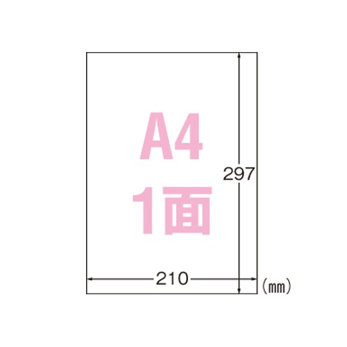 エーワン 31040 屋外でも使えるサインラベルシール 下地が透けないツヤ消しフィルム A4 1面 10シート 送料無料 nandemonet247-10003068 なんでもネット247 パッケージ画像