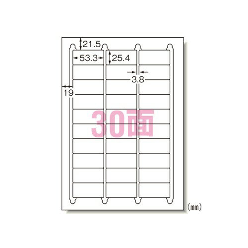 Rakuten - エーワン 31260 ラベルシール 綺麗にはがせる A4 30面100シート 送料無料