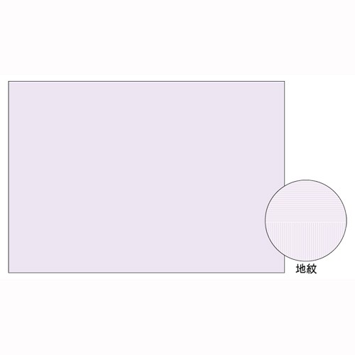 ヒサゴ BP2111 A3片面 コピー偽造予防用紙 コピー判別用紙 100枚 マルチプリンタ帳票 浮き文字タイプ ..