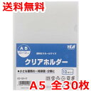 クリアホルダー A5 30枚 クリアファイル 送料無料