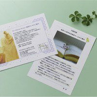 �ҥ��� KLP12 �ϥ�����������4�� �ʤ�餫 �ø��� 200������ ����̵��