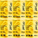 ラミネートパウチフィルム CPリーフ 100μm 100枚 IDカ−ド 名刺 定期券 診察券用 送料無料